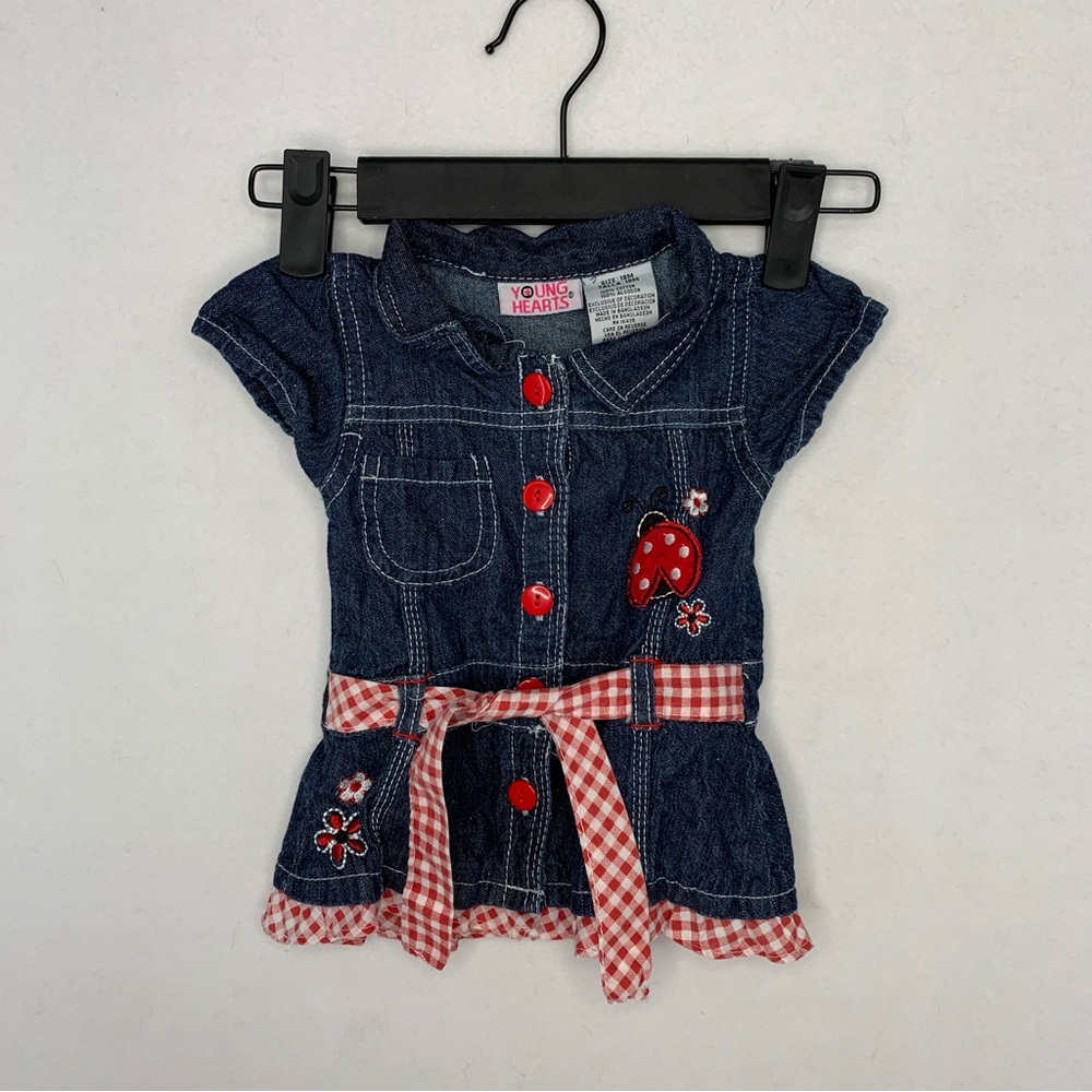 Vintage Y2K Young Hearts Lady Bug Gingham Denim Dress Size 18M